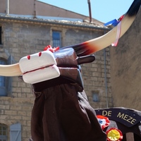 Photo de France - Pézenas